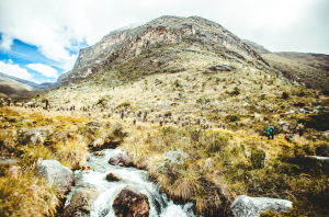 paramo de ocetá