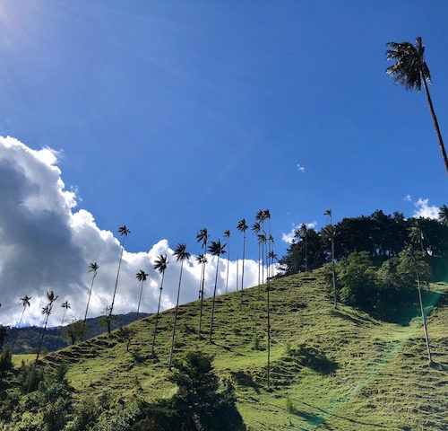 valle de cocora