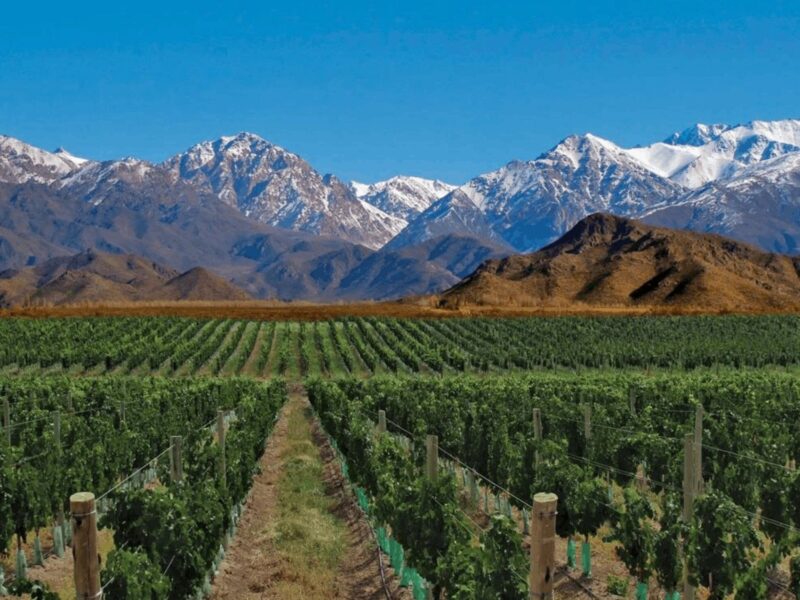 mendoza
