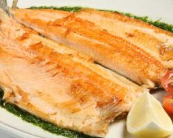 trucha trucha colombiana