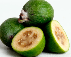 feijoa feijoa
