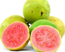 guayaba guayaba