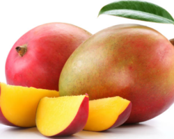 mango mango