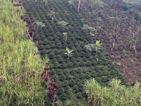 san agustin 3 san agustin 3