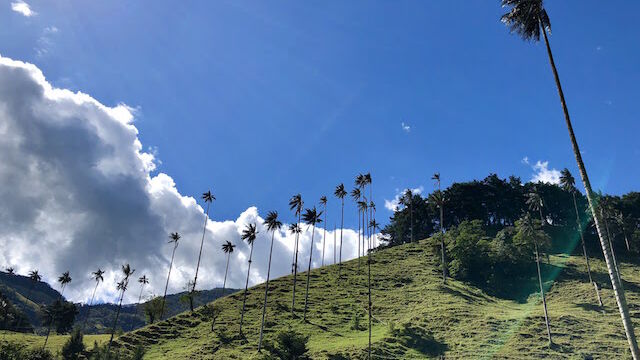 valle de cocora valle de cocora