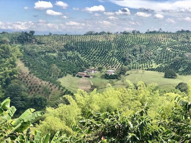 eje cafetero finca eje cafetero finca