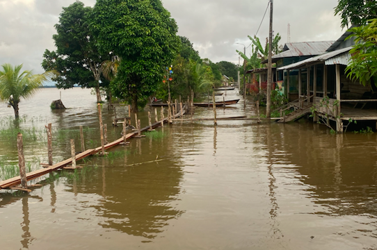 Amazonas Amazon river