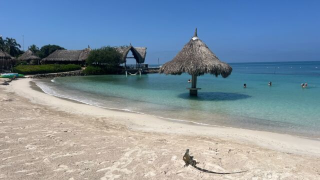 Isla Múcura