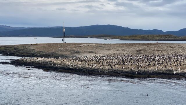 Canal Beagle Ushuaia 2