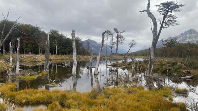 Ushuaia 2